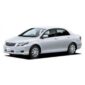 Corolla Size Car