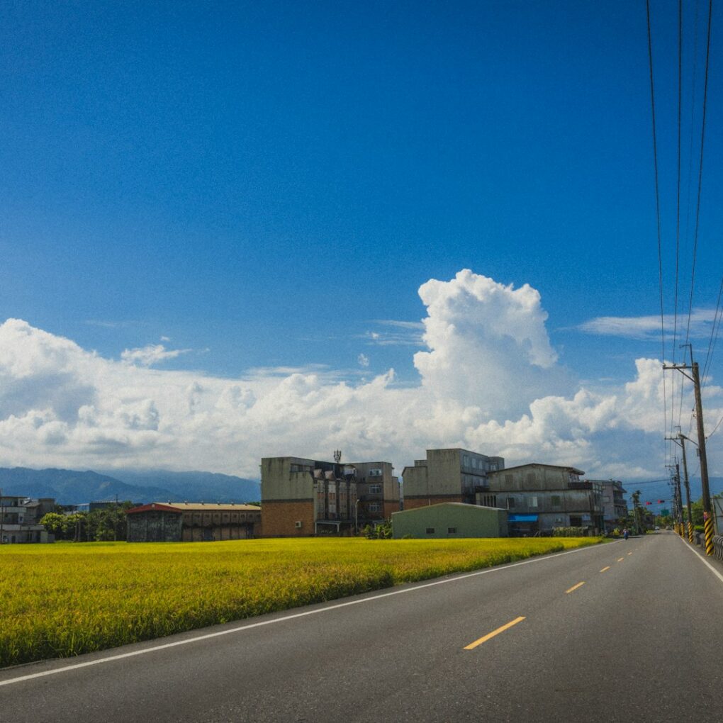 A road leads through a field on a sunny day.